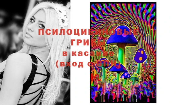 2c-b Алексеевка