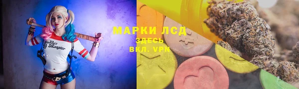 ешки Алзамай