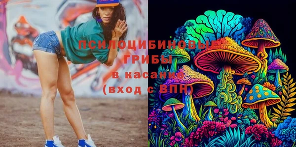 2c-b Алексеевка