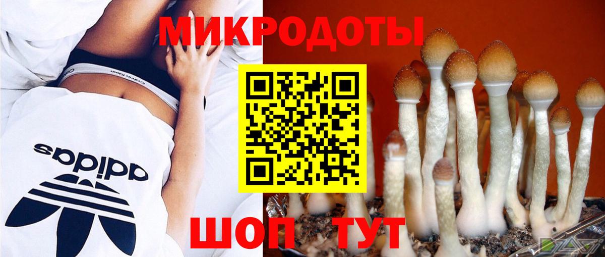 Псилоцибиновые грибы Psilocybe  Галлюциногенные грибы GOLDEN TEACHER  магазин  наркотиков  Вход с VPN  Глазов 